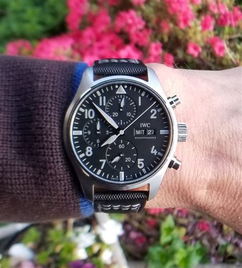 iwc chronograph review